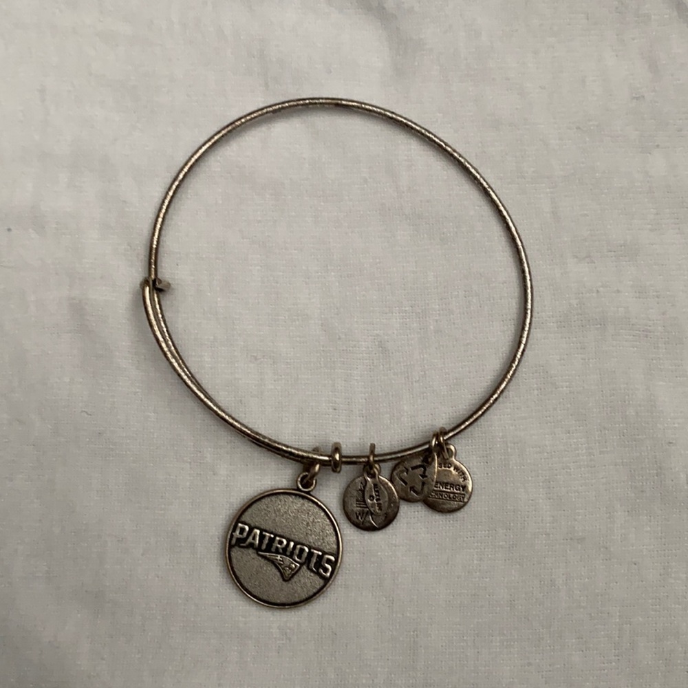 •ALEX & ANI•Silver Patriots Bangle Bracelet - Picture 2 of 4